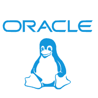 Linux install Oracle Database 11g